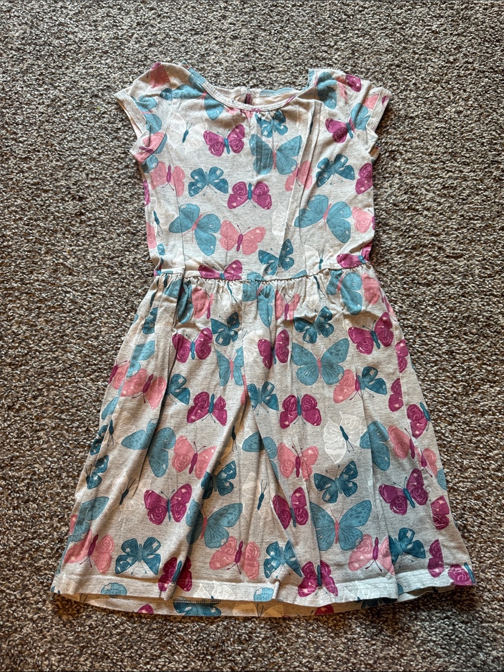 Carter's Butterfly Print Casual Dress - Pink & Blue